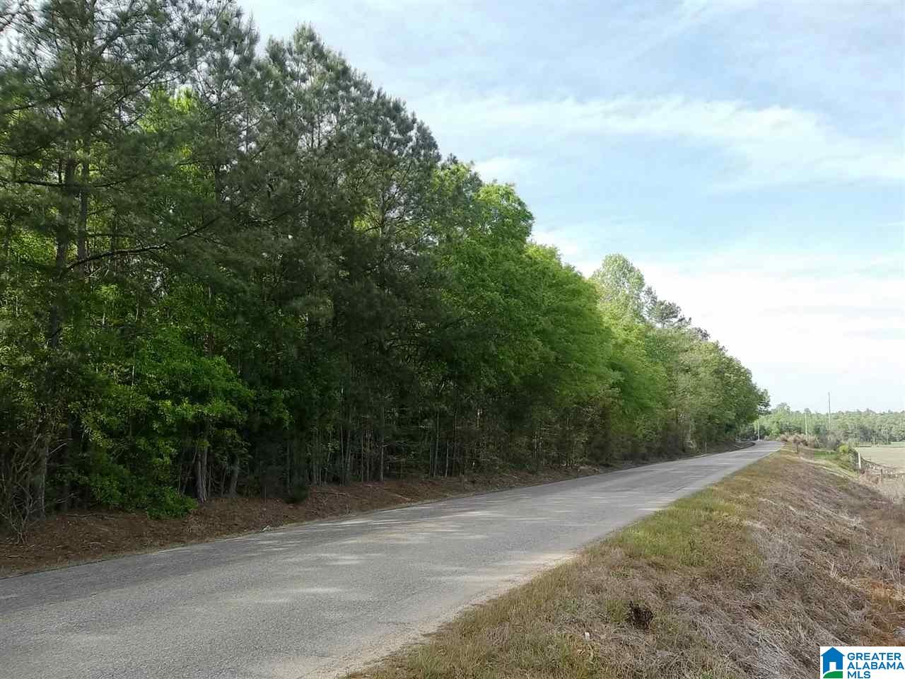 Stockdale Road, Unit 11 81 Talladega, AL 35160 - Photo 1 of 4