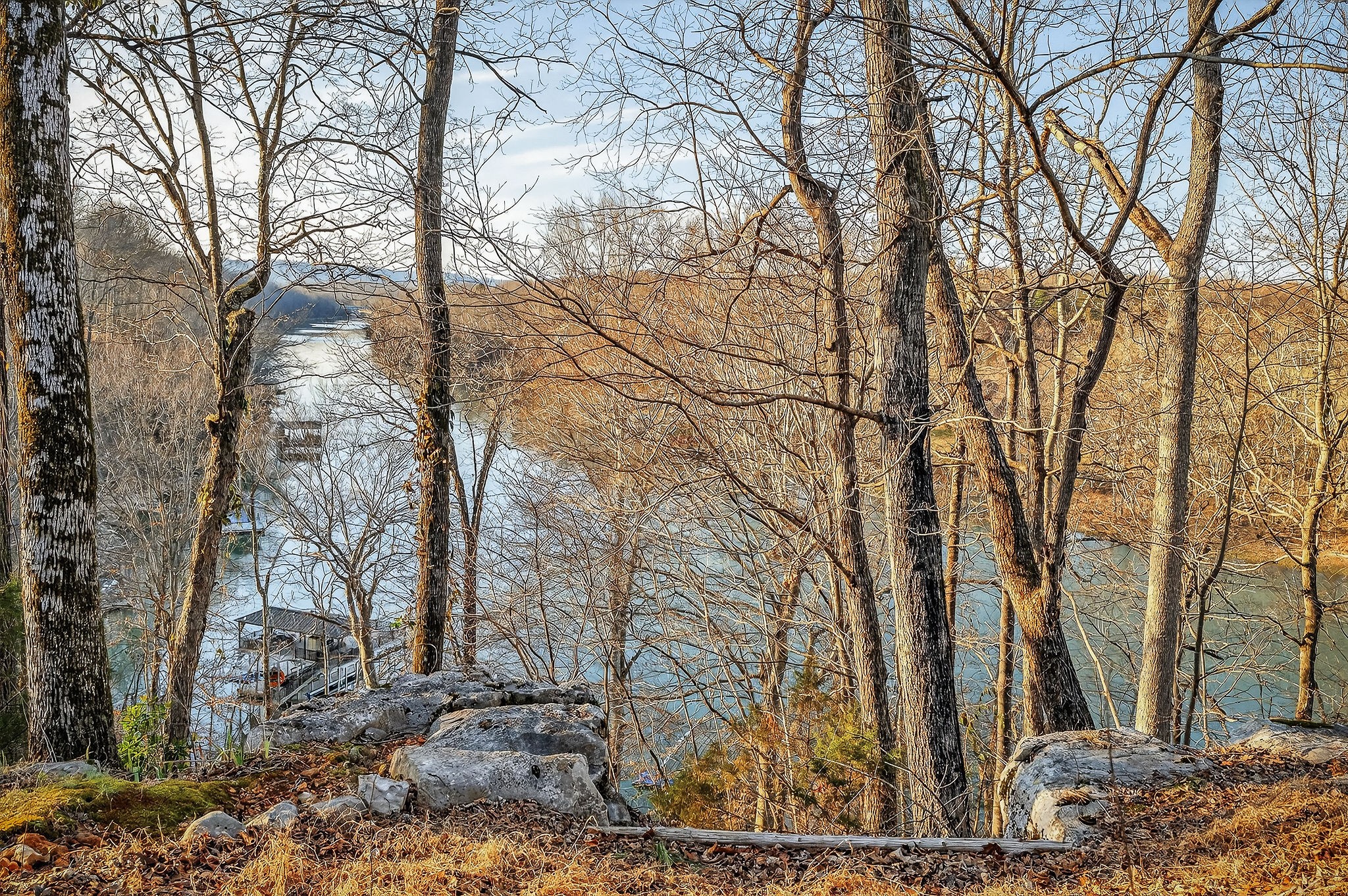 2539 Sparkman Town Road Doyle, TN 38559 - Photo 53 of 54 a backyard of a house with lots of trees