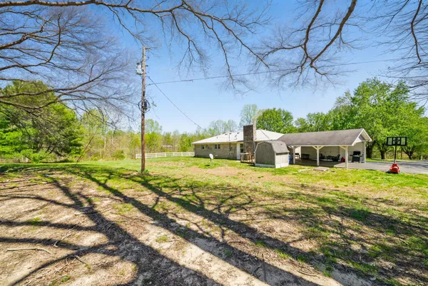 a view of a yard with plants and large trees