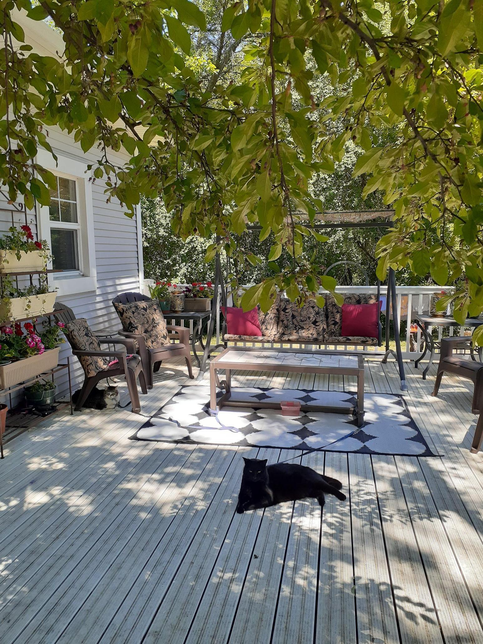 6077 Long Lake Road Willmar, MN 56201 - Photo 38 of 47