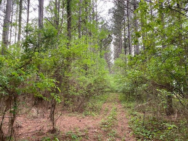 351 County Road Sweetwater, TN 37874 - Photo 9 of 14