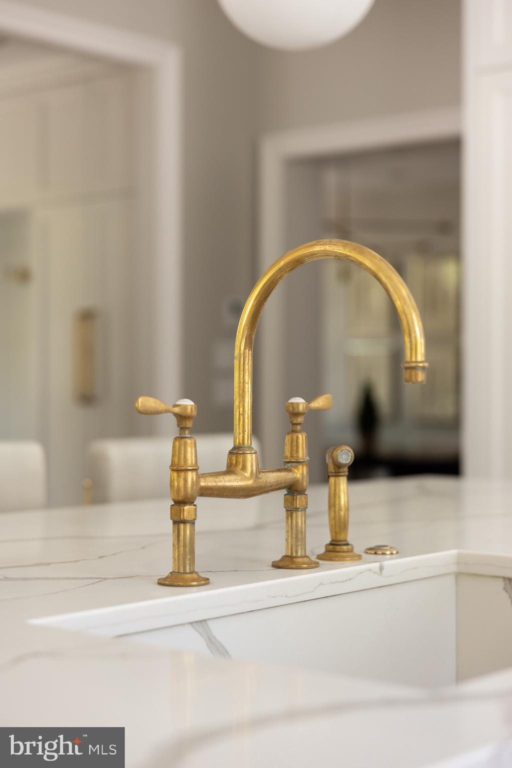 1704 Russell Road Alexandria, VA 22302 - Photo 13 of 44 Waterworks Brass Bridge Faucet