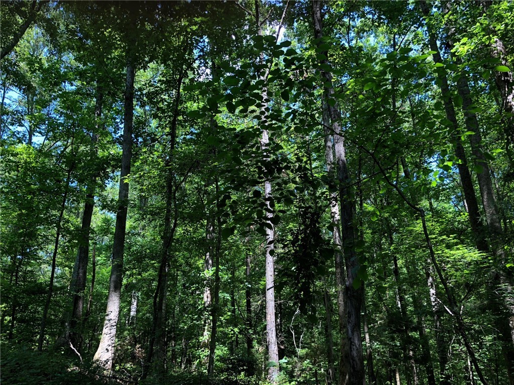 908 Brick Mill Road Honea Path, SC 29654 - Photo 1 of 8