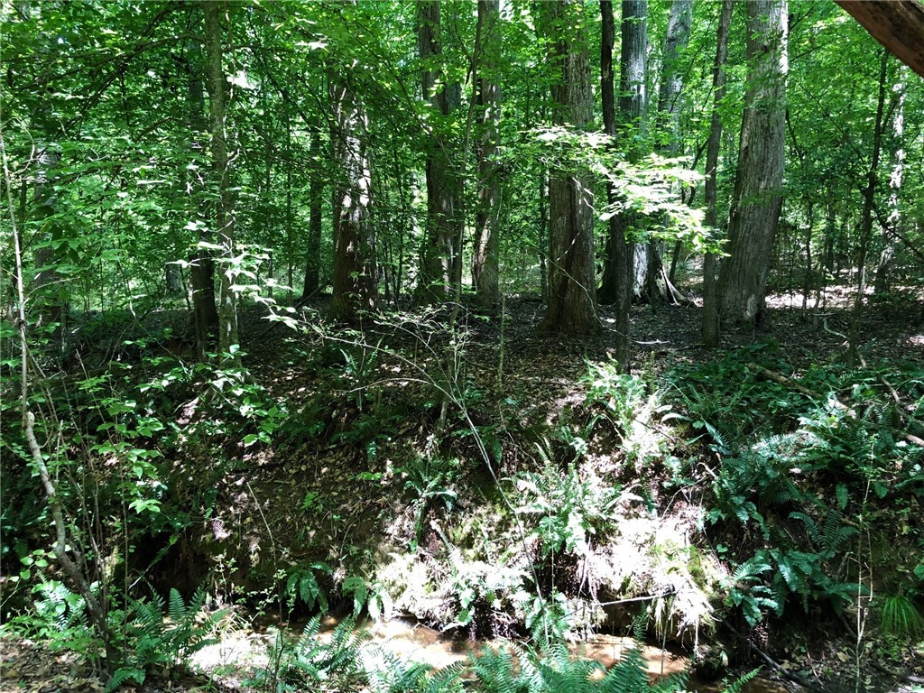 908 Brick Mill Road Honea Path, SC 29654 - Photo 6 of 8