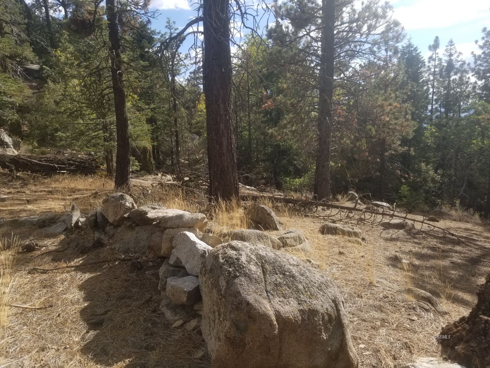 Piute Pines Caliente, CA 93518 - Photo 14 of 26