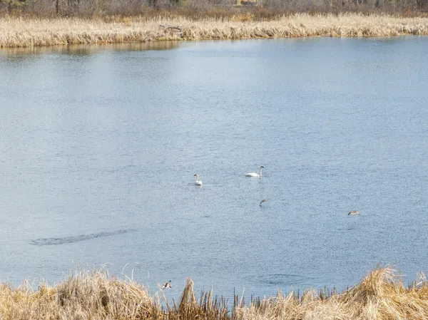 $149,000 | 1500 40th Street Southwest, Pine River, MN 56474