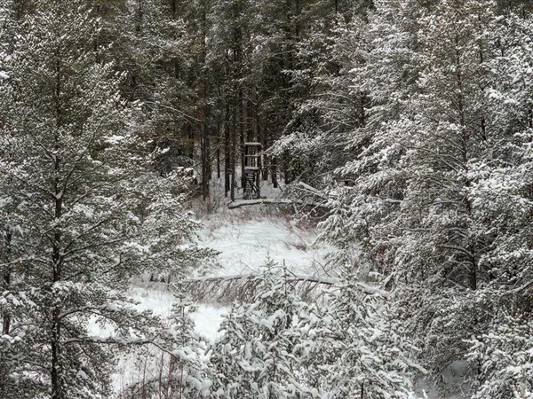 $149,000 | 1500 40th Street Southwest, Pine River, MN 56474