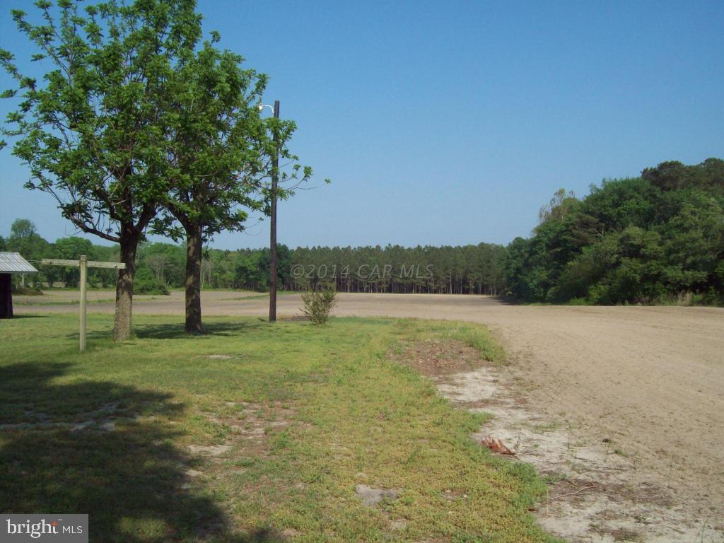 6341 Walston Switch Road Salisbury, MD 21804 - Photo 14 of 17 Gallery Image 14