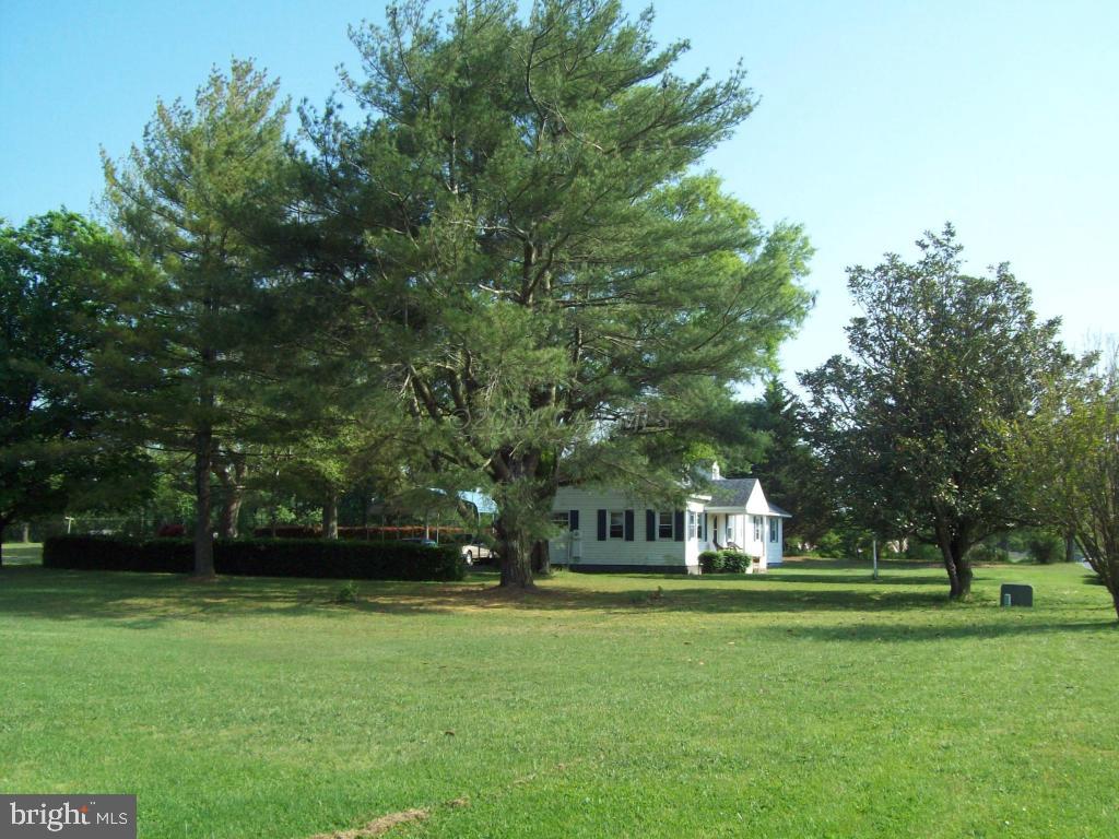 6341 Walston Switch Road Salisbury, MD 21804 - Photo 15 of 17 Gallery Image 15