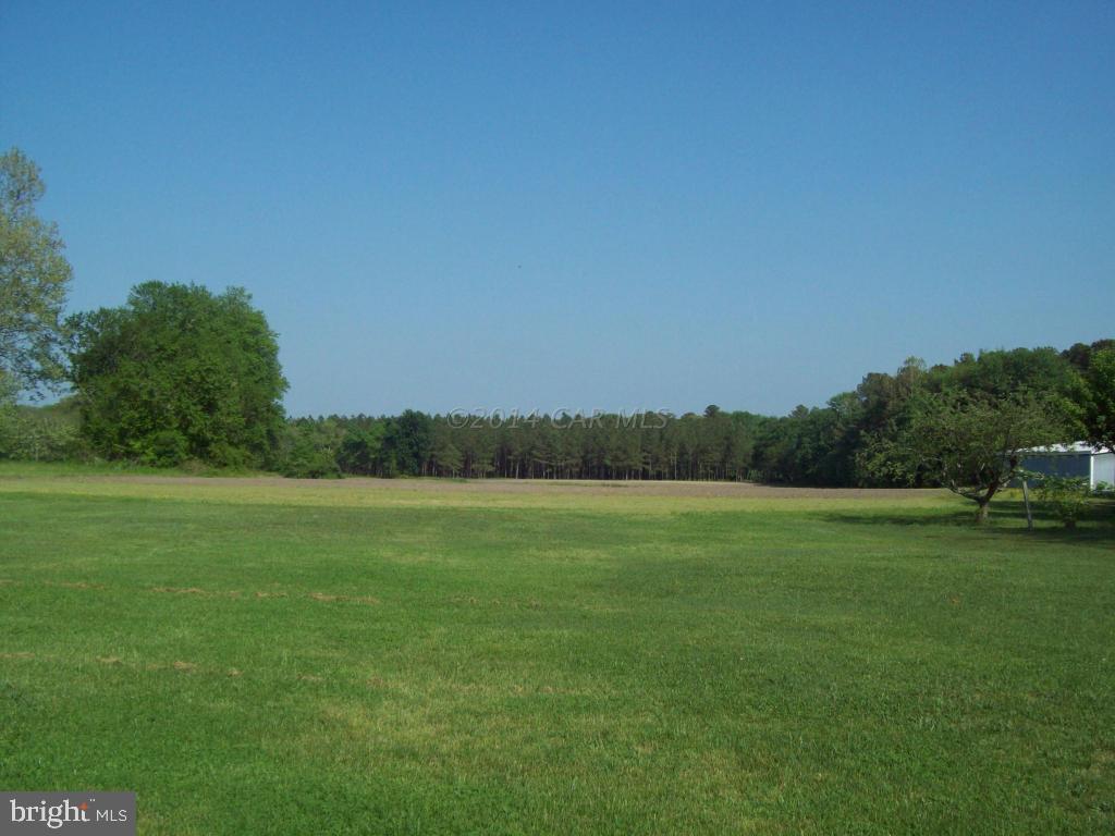 6341 Walston Switch Road Salisbury, MD 21804 - Photo 4 of 17 Gallery Image 4