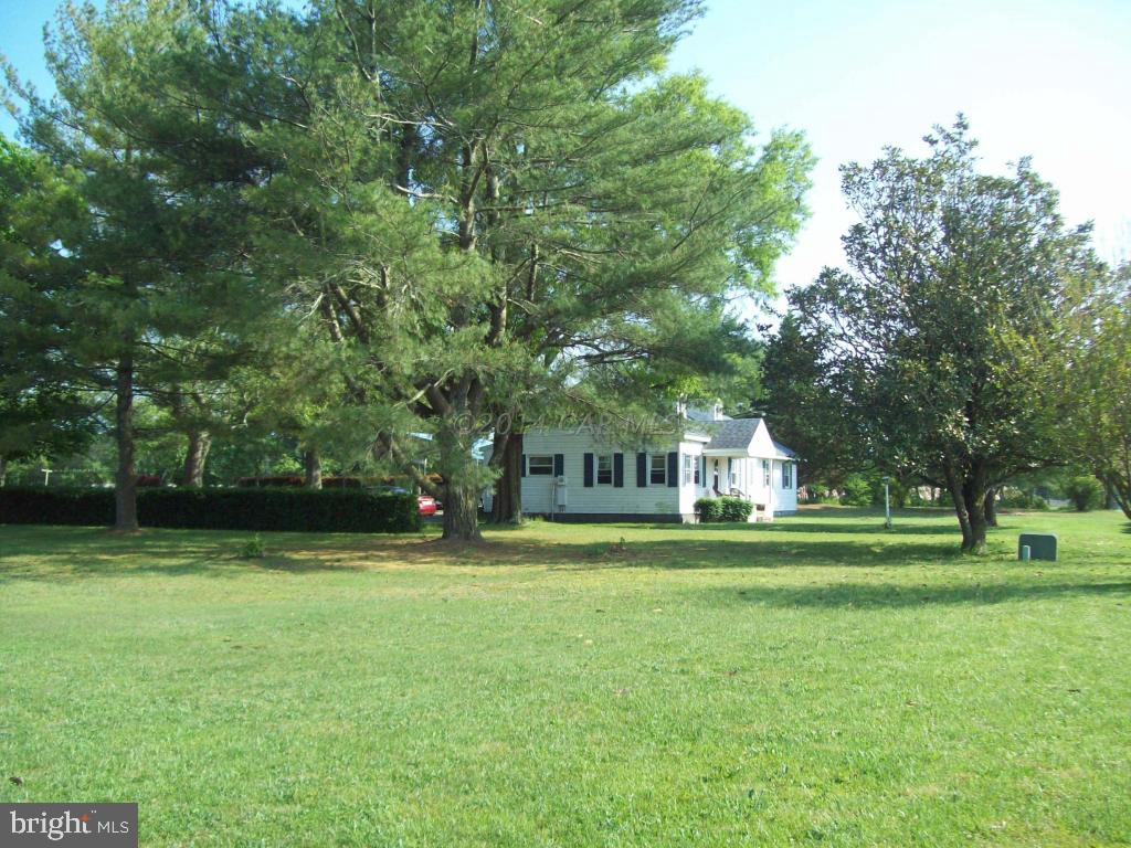 6341 Walston Switch Road Salisbury, MD 21804 - Photo 5 of 17 Gallery Image 5