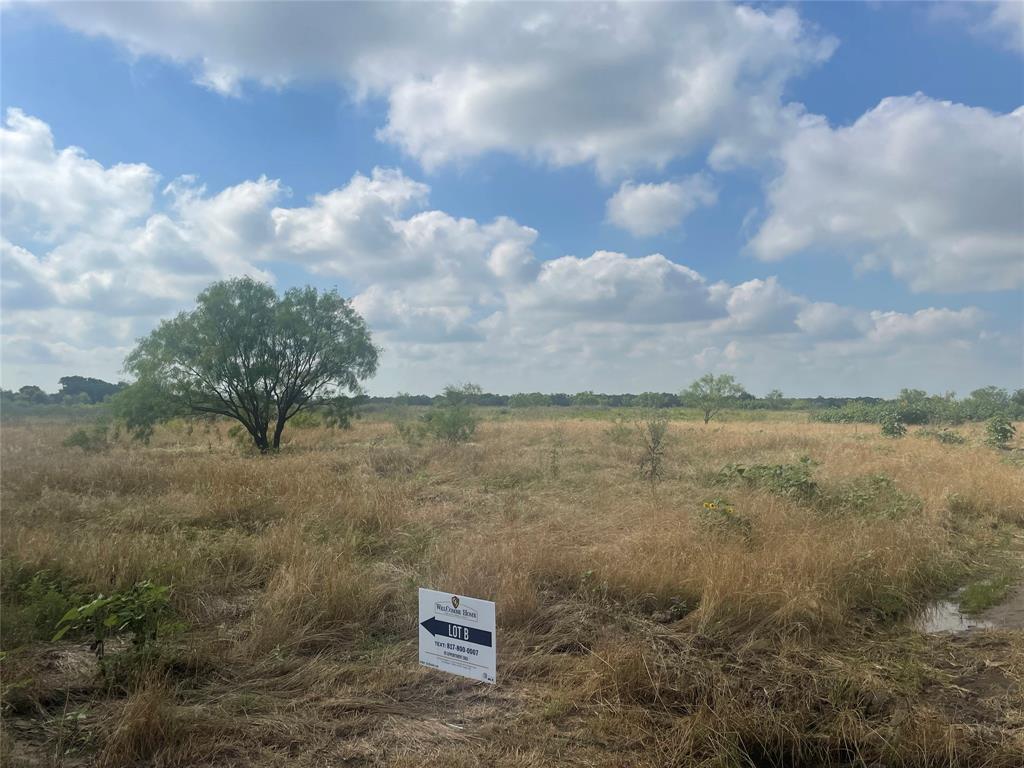910 Prairie View Road Perrin, TX 76486 - Photo 4 of 4 a view of a lake