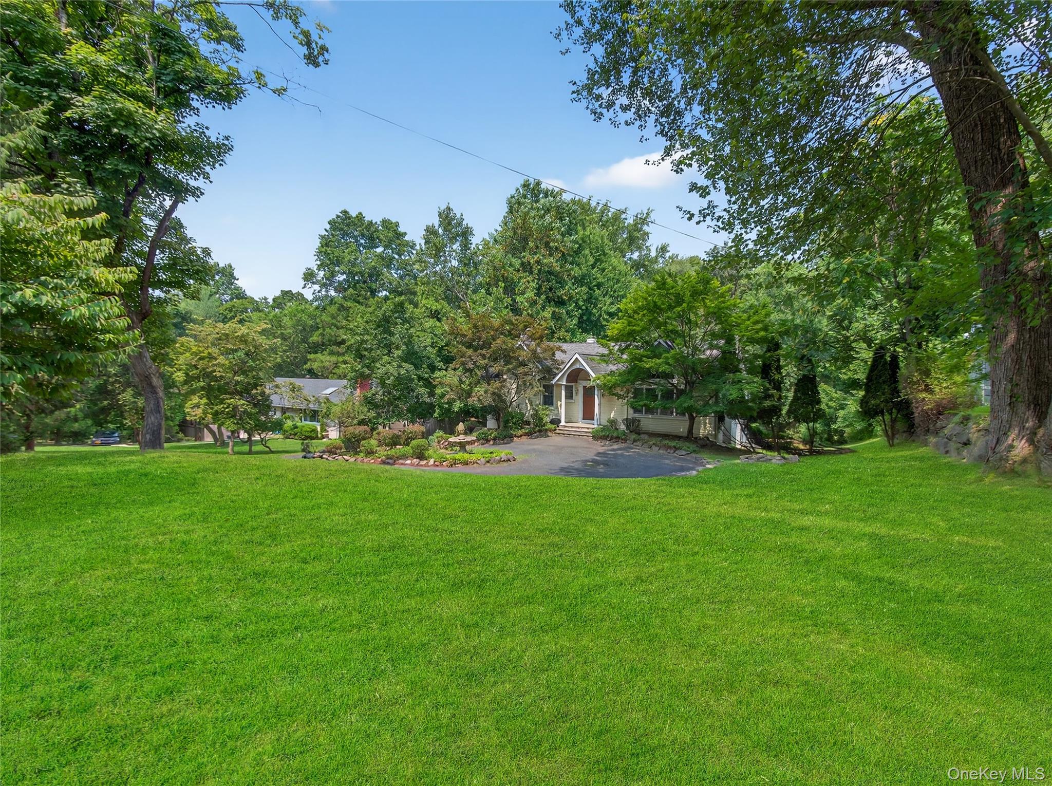 a view of a park with large trees