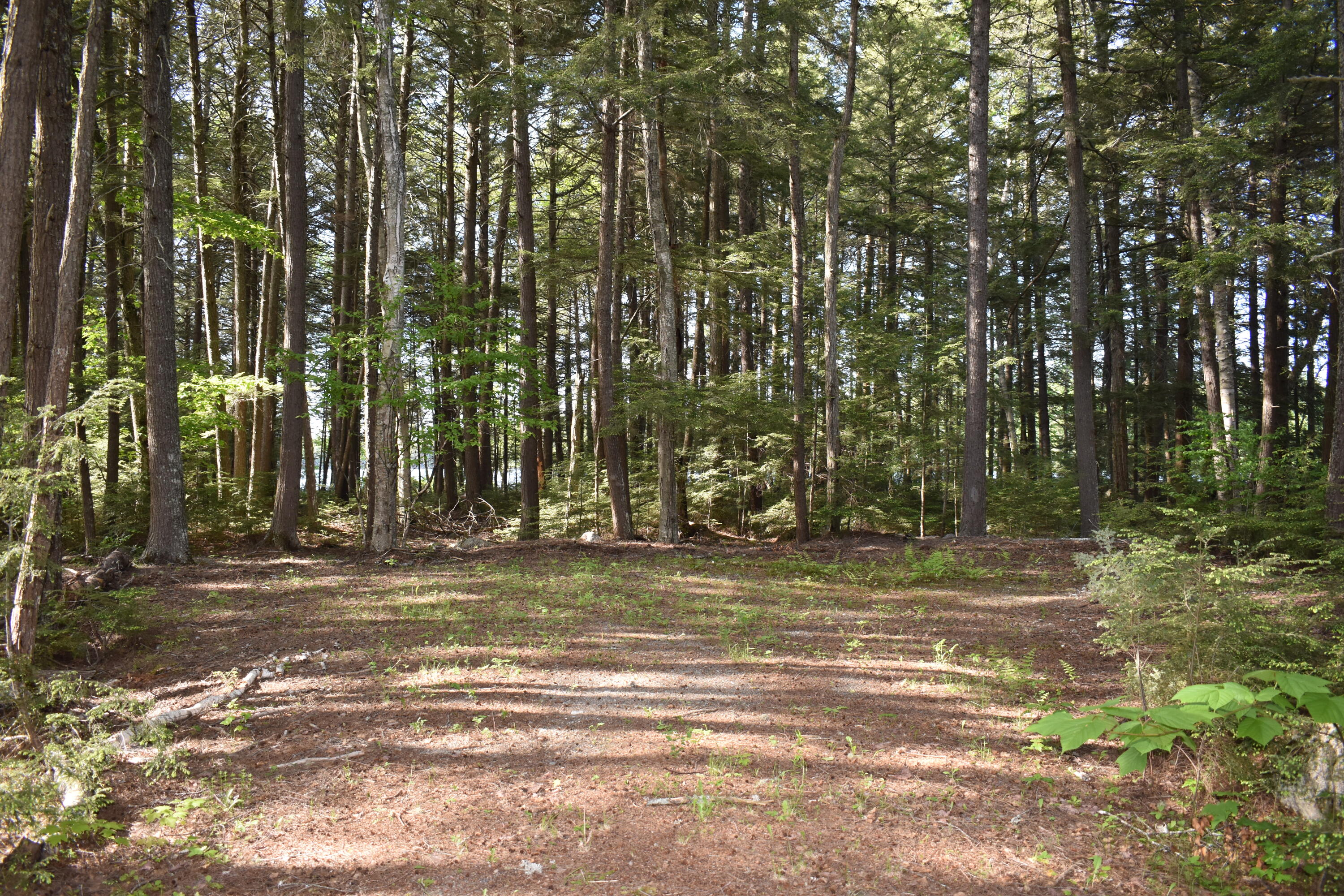 386 Weatherbee Pt Road Lincoln, ME 04457 - Photo 46 of 47 DSC_0147