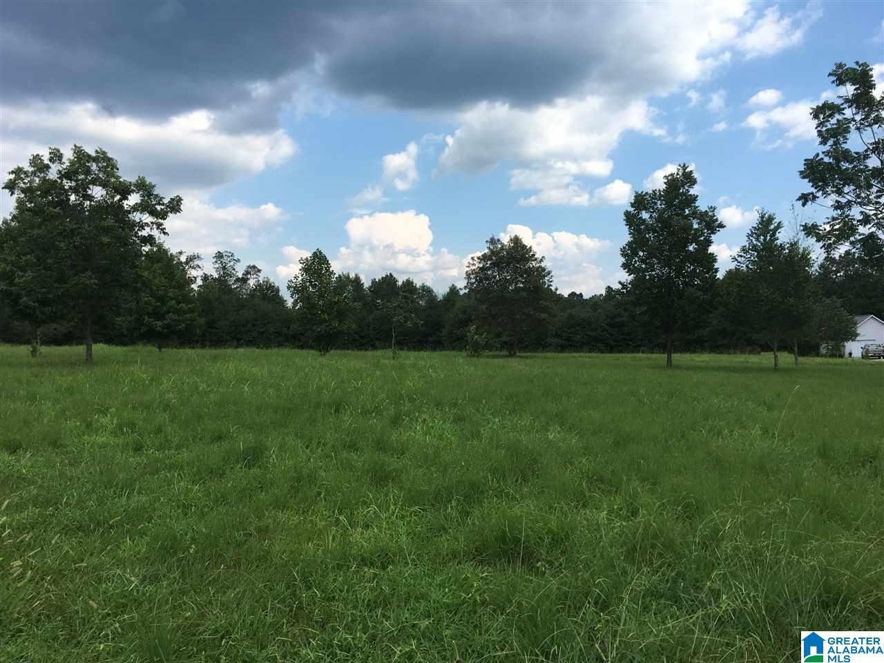 0 Payton Lane, Unit 3 Locust Fork, AL 35097 - Photo 1 of 4