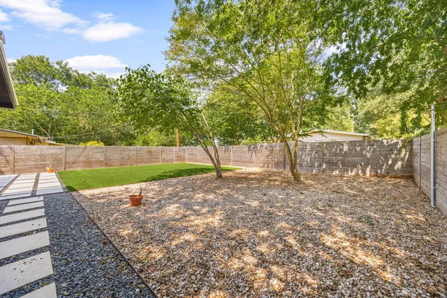 a view of a yard with plants and a large tree
