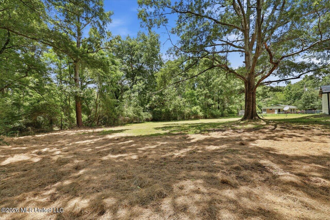 175 Walter Jones Road Magee, MS 39111 - Photo 24 of 27 24-175 Walter Jones Rd _ Hometoursms.com