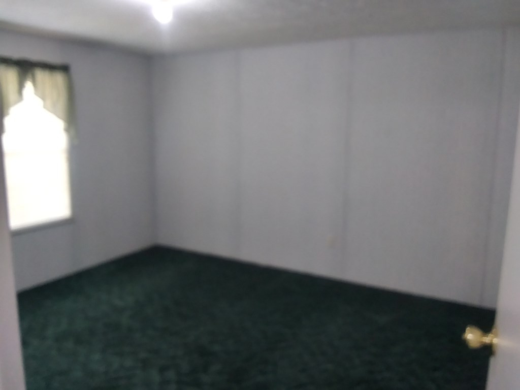 387 Buckboard Road Wagener, SC 29164 - Photo 16 of 47