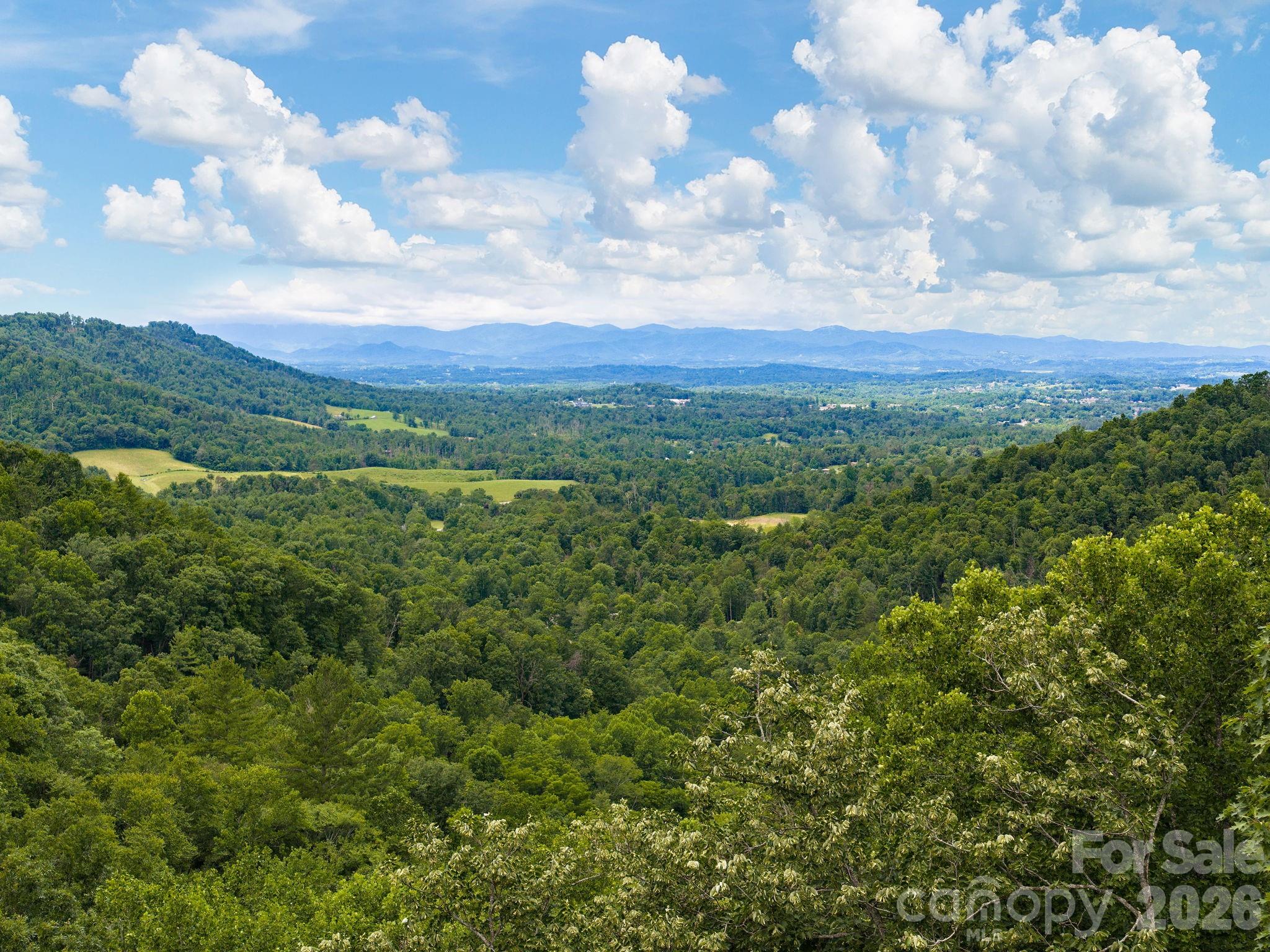 46 Perennial Ridge Weaverville, NC 28787 - Photo 38 of 44
