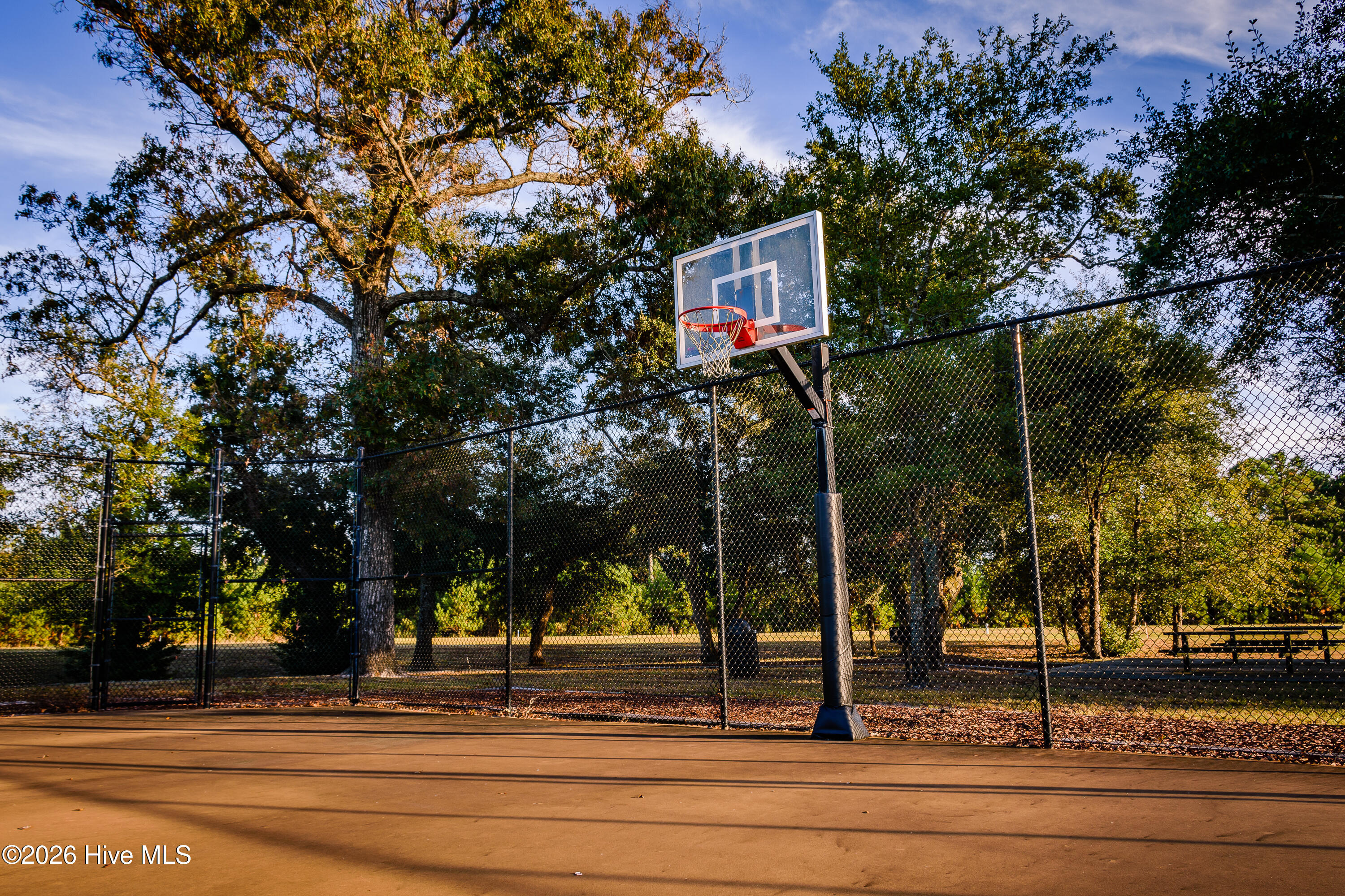 539 Moss Lake Lane Holly Ridge, NC 28445 - Photo 56 of 58 (12 of 16) Summerhouse Lot-17292162120