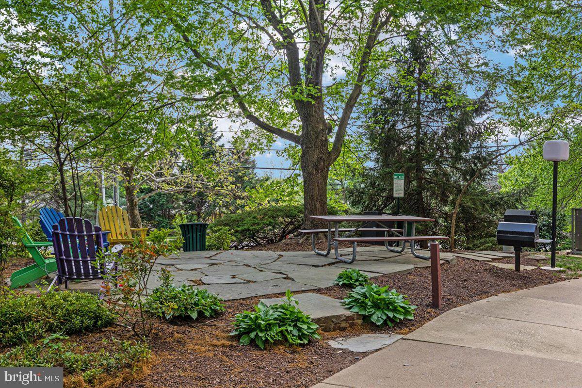 5911 Edsall Road, Unit 1104 Alexandria, VA 22304 - Photo 28 of 32 Picnic and Grill Area
