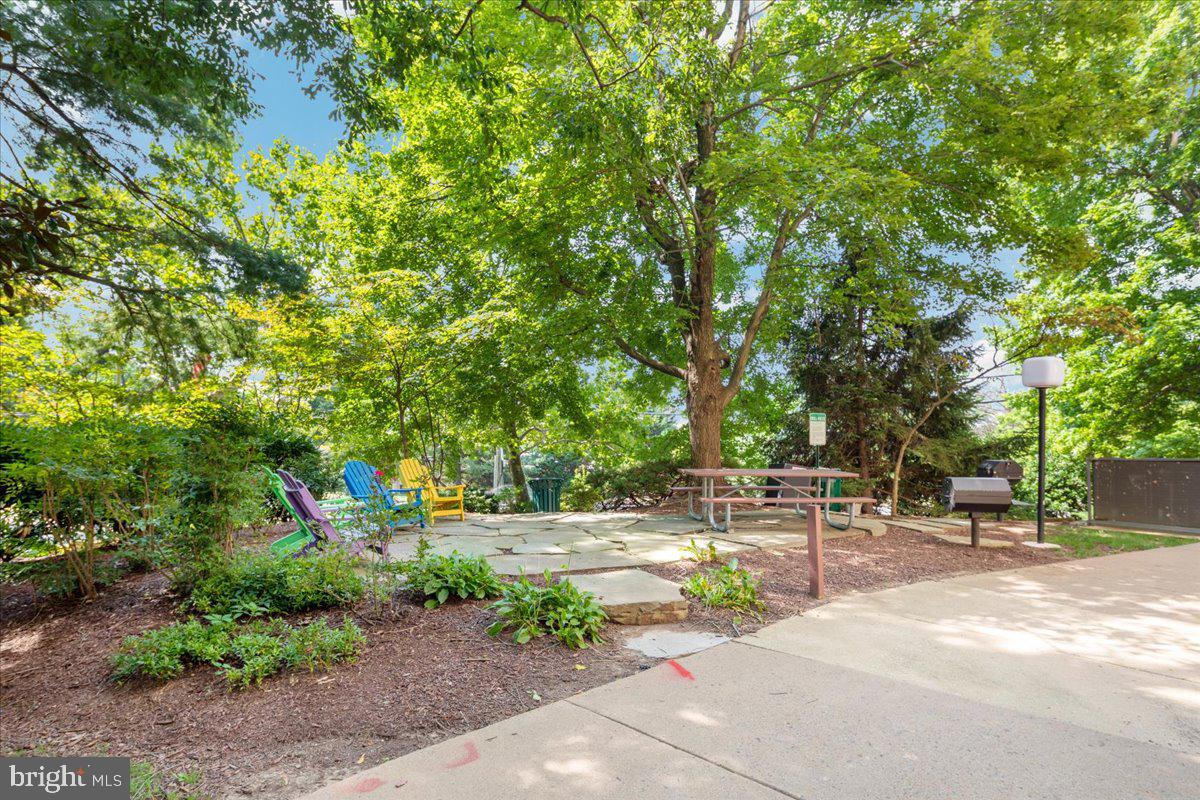 5911 Edsall Road, Unit 1104 Alexandria, VA 22304 - Photo 29 of 32 Picnic and Grill Area