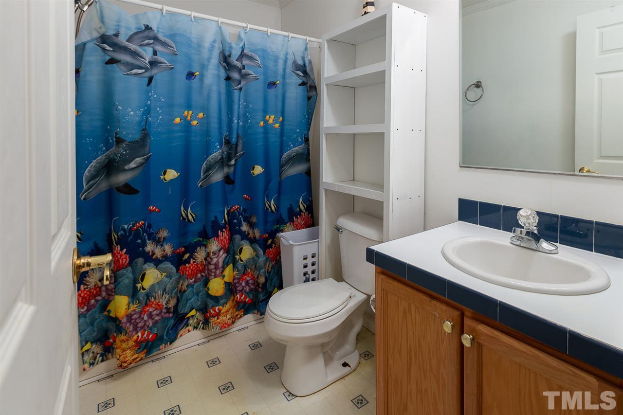 542 Bill Clifton Road Faison, NC 28341 - Photo 24 of 29 Gallery Image 24