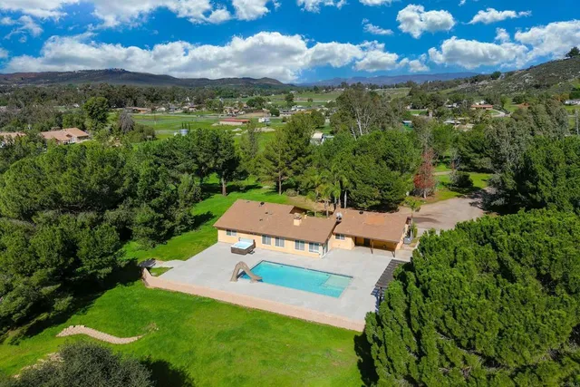 a view of a large tree with a yard