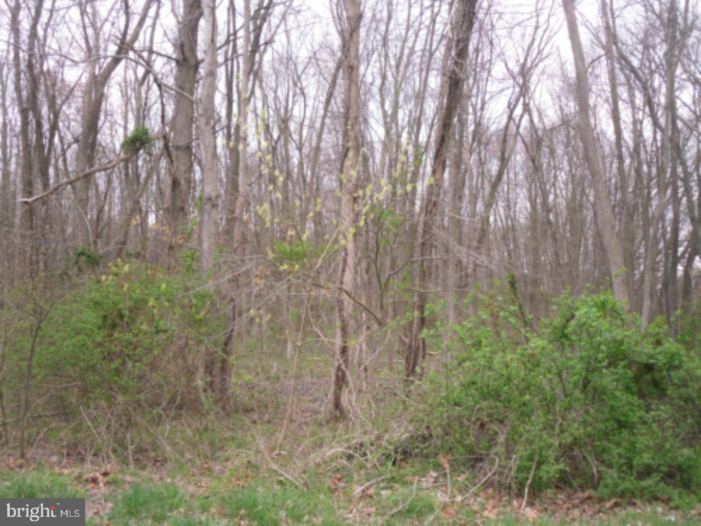 36 Cooper Tomlinson Road Medford, NJ 08055 - Photo 2 of 2 Gallery Image 2
