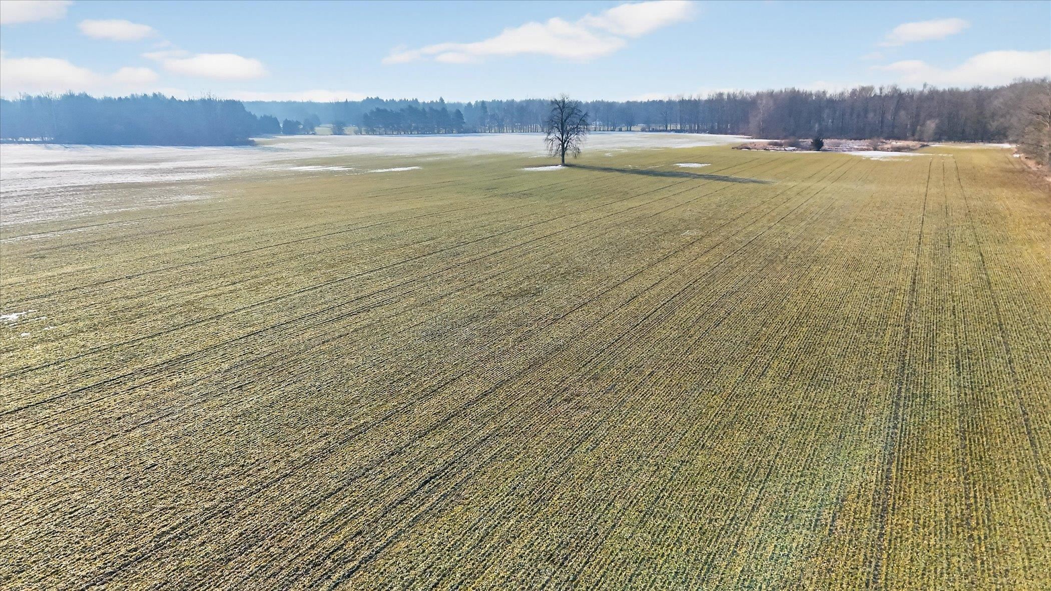East Chadwick Road Dewitt, MI 48820 - Photo 6 of 12