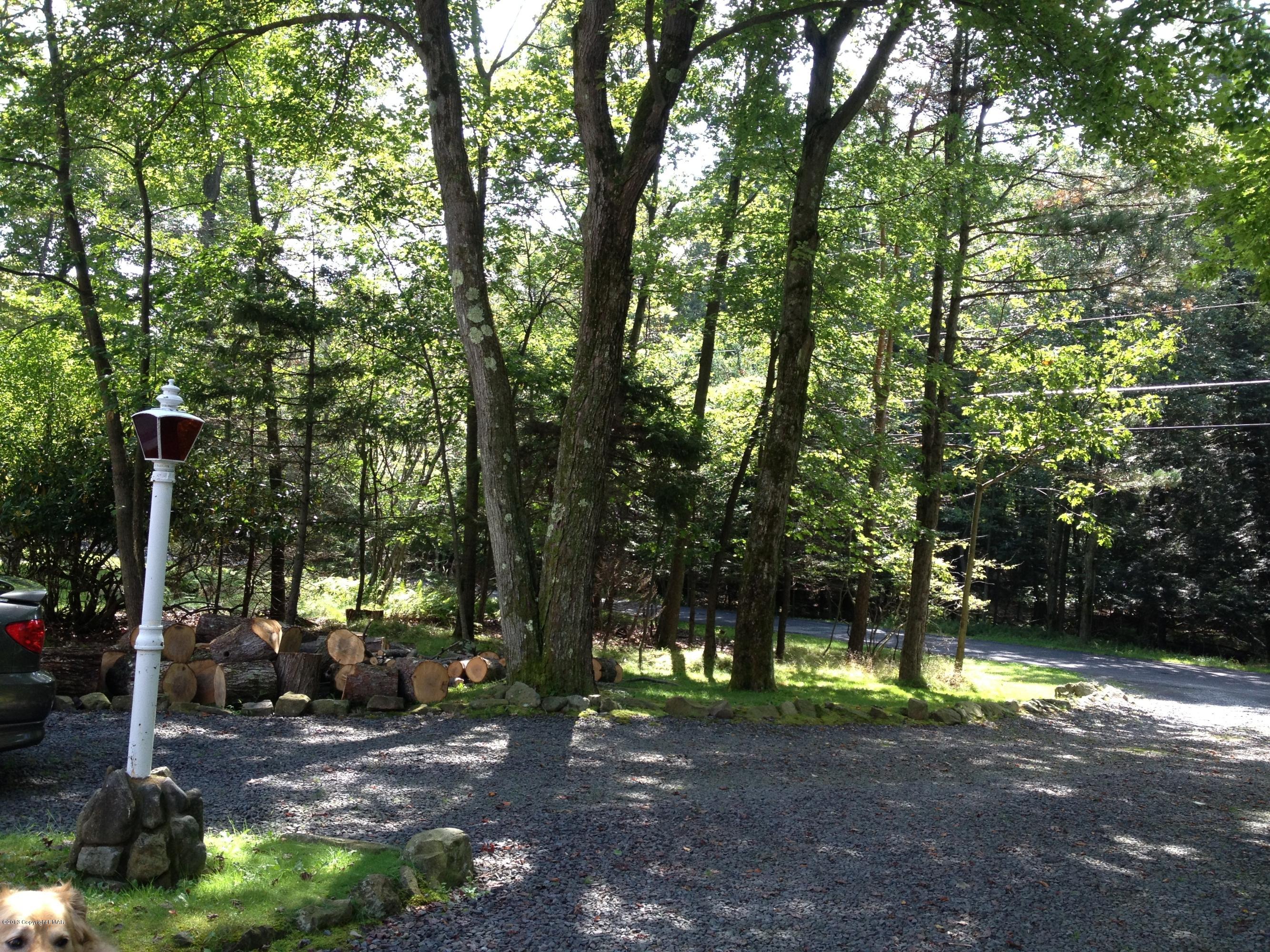 6445 Laurel Road Pocono Summit, PA 18346 - Photo 8 of 28 IMG_0241