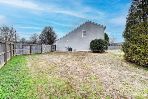 a view of a backyard with a large tree