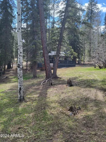 $304,000 | 6 County Road 1007, Unit 6, Eagar, AZ 85925