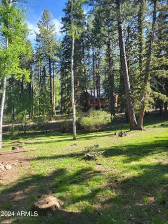 $304,000 | 6 County Road 1007, Unit 6, Greer, AZ 85927