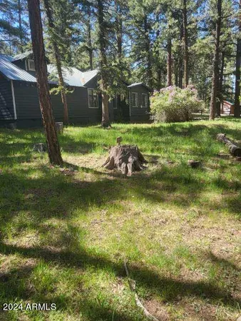 $304,000 | 6 County Road 1007, Unit 6, Greer, AZ 85927