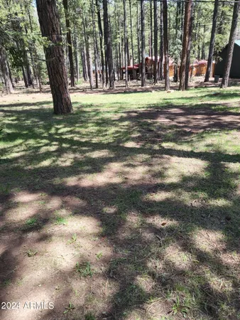 $304,000 | 6 County Road 1007, Unit 6, Greer, AZ 85927