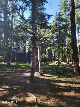 $304,000 | 6 County Road 1007, Unit 6, Greer, AZ 85927