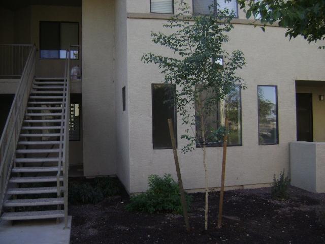 3330 South Gilbert Road, Unit 1006 Chandler, AZ 85286 - Photo 1 of 15 FRONT, GLG 01