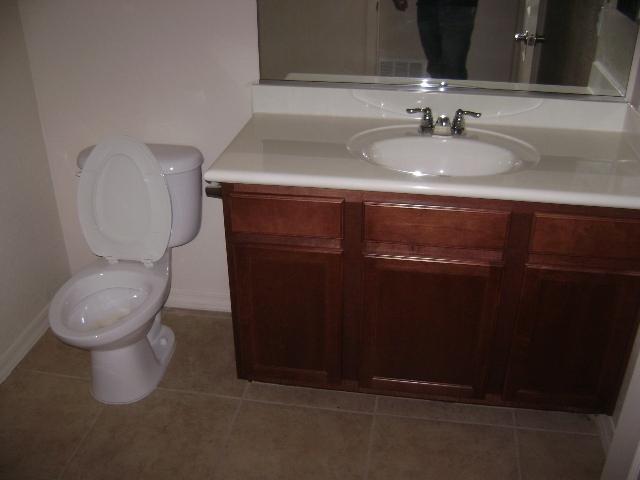 3330 South Gilbert Road, Unit 1006 Chandler, AZ 85286 - Photo 11 of 15 BATHROOM, GLG 08