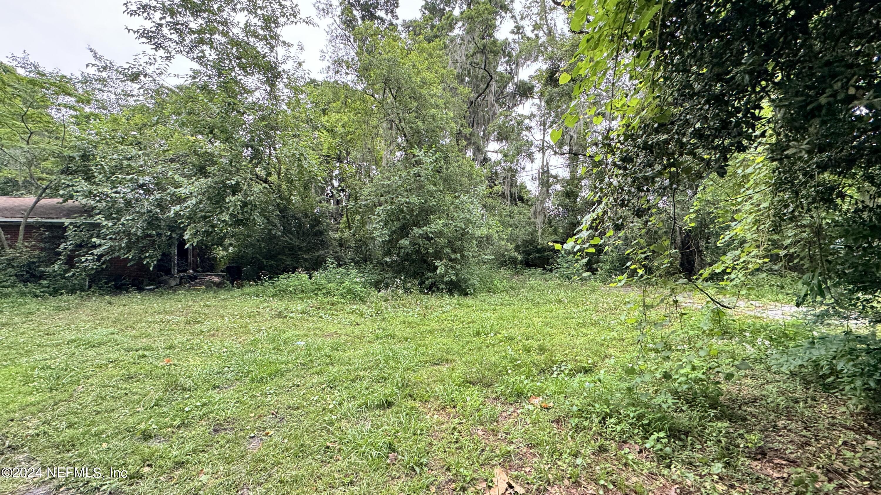 36107 Pine Street Hilliard, FL 32046 - Photo 13 of 27 a view of a lush green forest