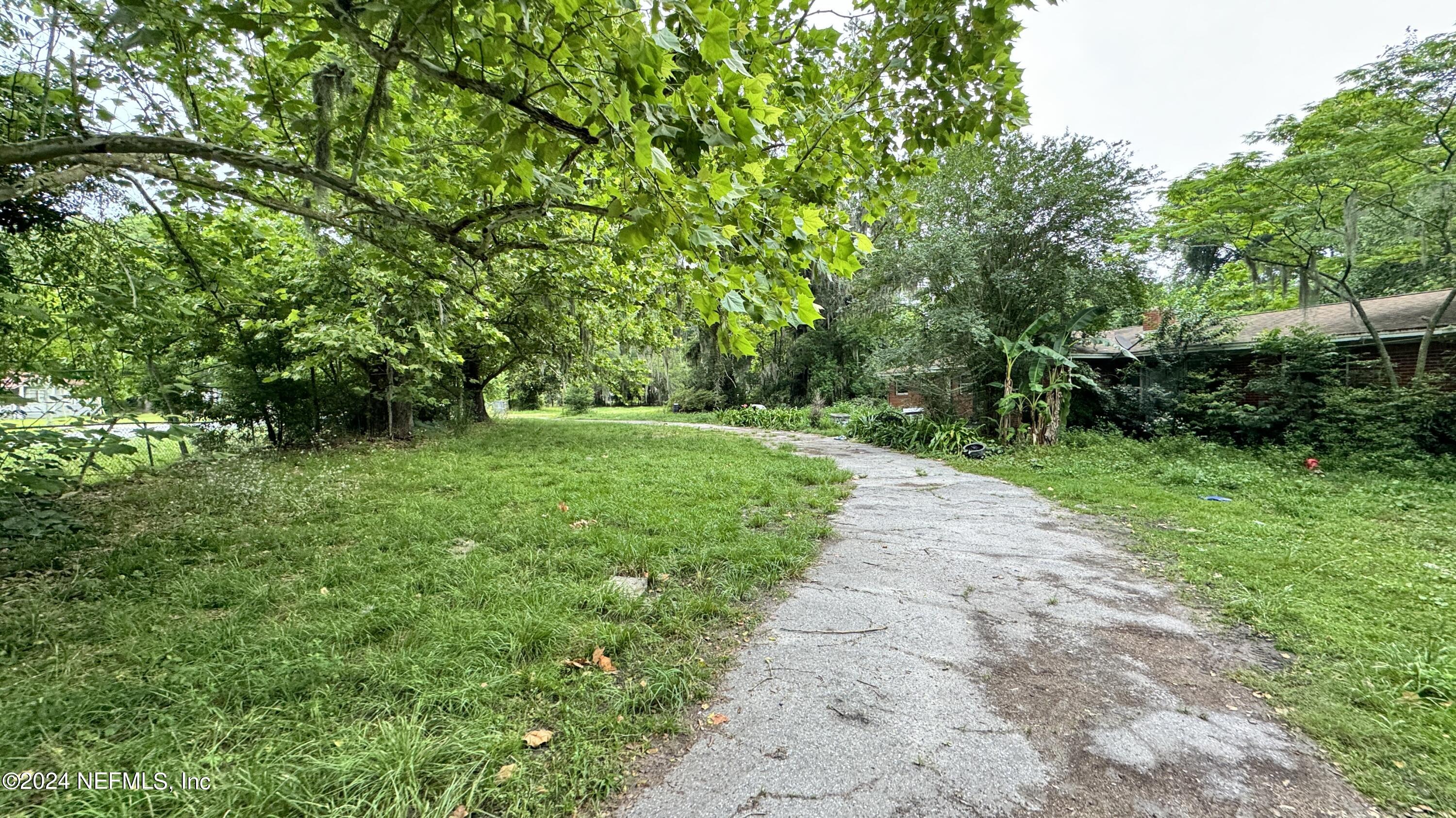 36107 Pine Street Hilliard, FL 32046 - Photo 14 of 27 a view of a yard with plants and a large tree