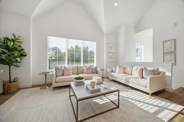 a living room with furniture and a potted plant