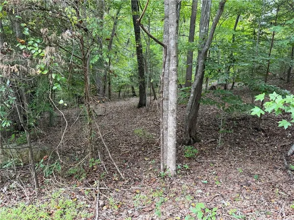 $35,000 | 0 Redbud Lane, Randleman, NC 27317