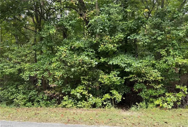$35,000 | 0 Redbud Lane, Randleman, NC 27317