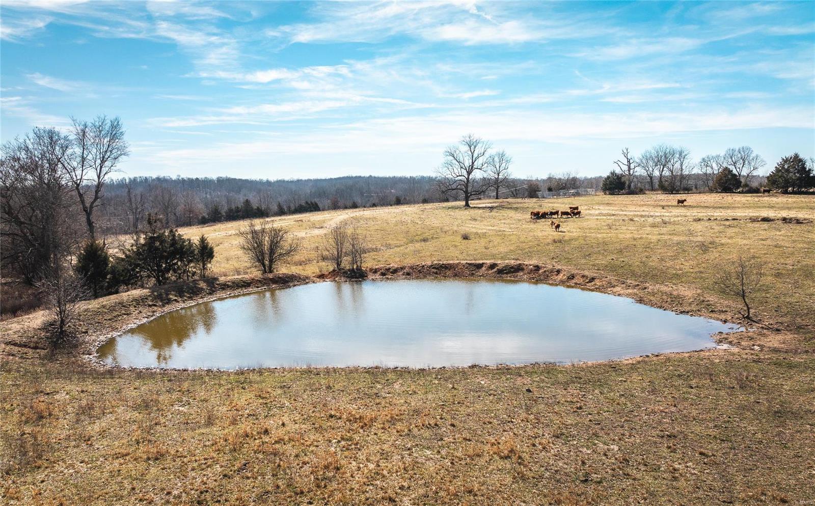 0 County Road 360 Thayer, MO 65791 - Photo 18 of 25