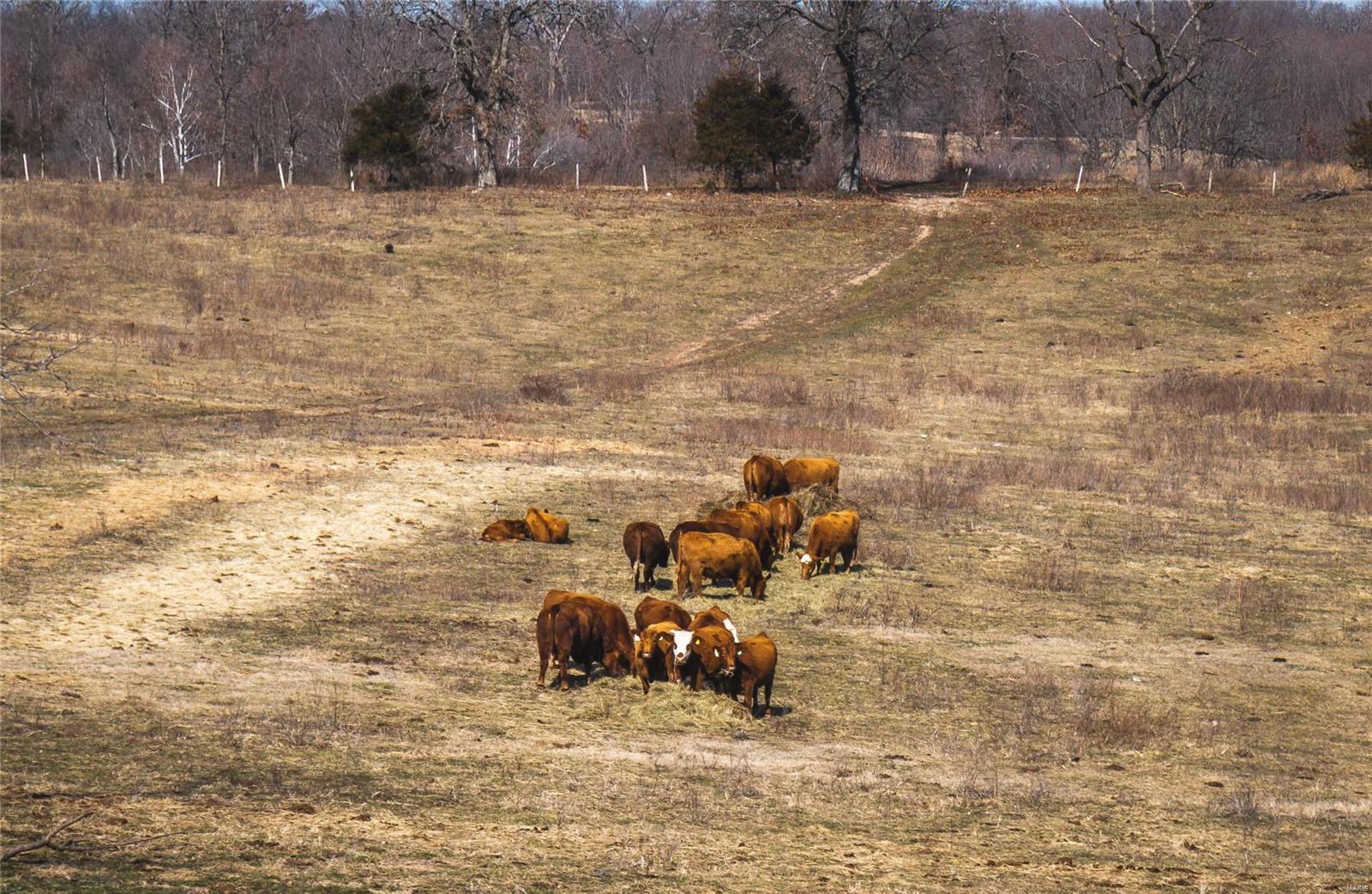 0 County Road 360 Thayer, MO 65791 - Photo 4 of 25