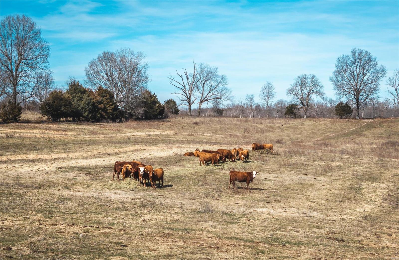 0 County Road 360 Thayer, MO 65791 - Photo 5 of 25