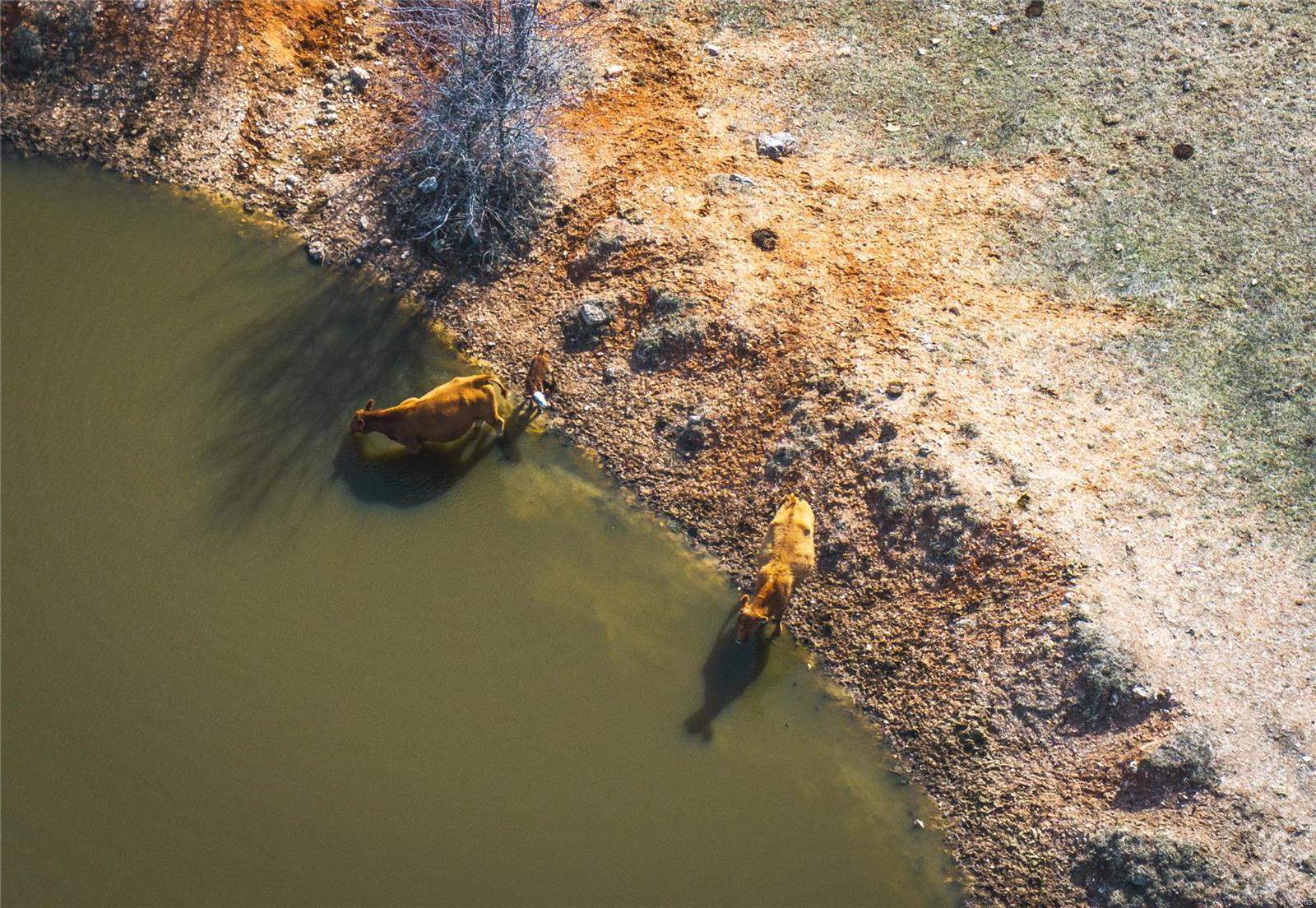 0 County Road 360 Thayer, MO 65791 - Photo 9 of 25