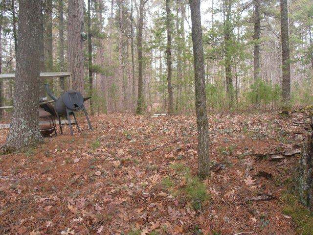 Lot 1 Sunrise Camp Road Minocqua, WI 54548 - Photo 13 of 13 Gallery Image 13