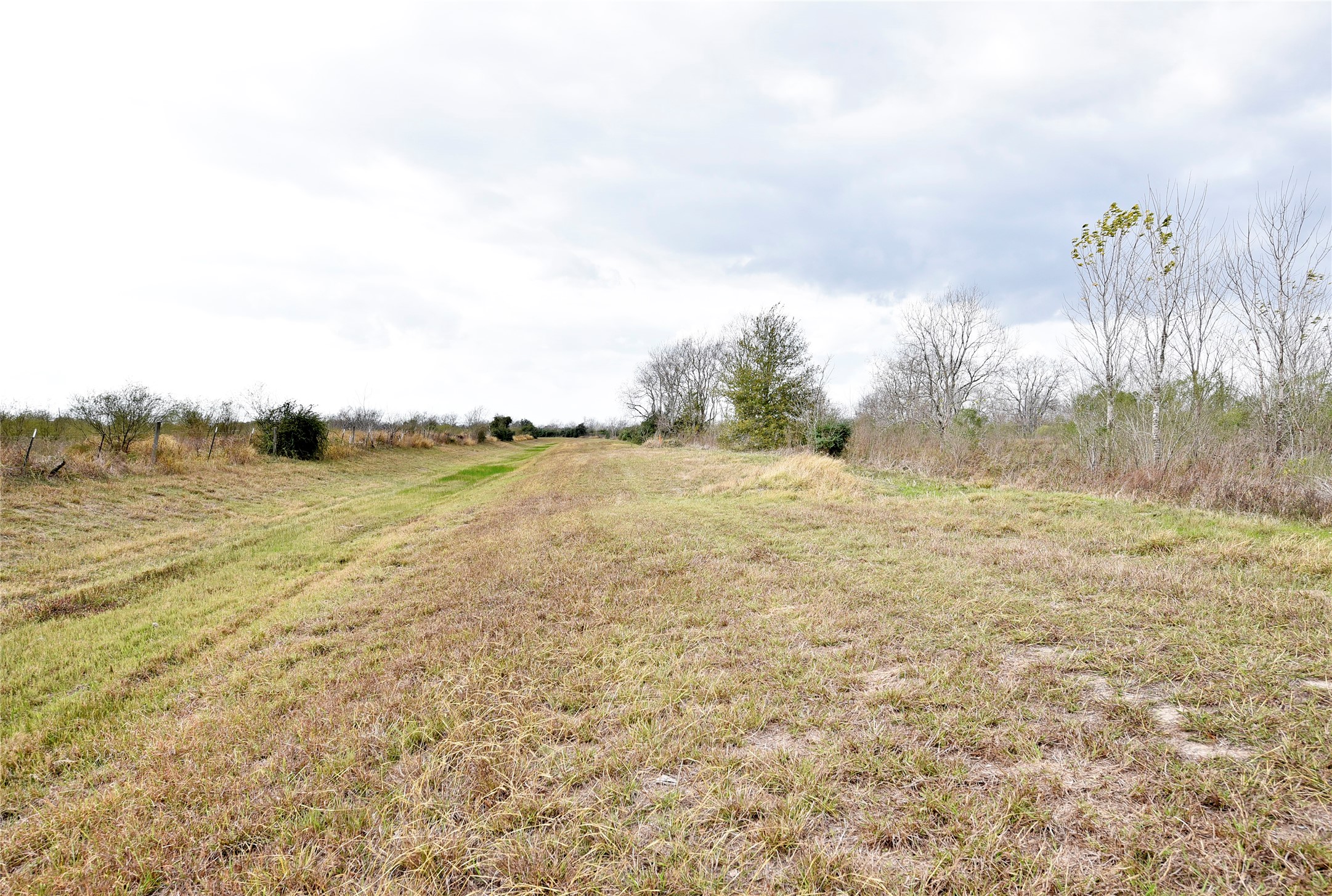 6018 FM 360 Road Needville, TX 77461 - Photo 46 of 50
